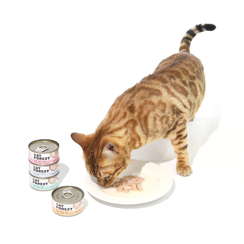 CAT FOREST Classic Tuna White Meat With Seabream In Gravy Cat Canned Food 85G X 24Woofy and Whiskers