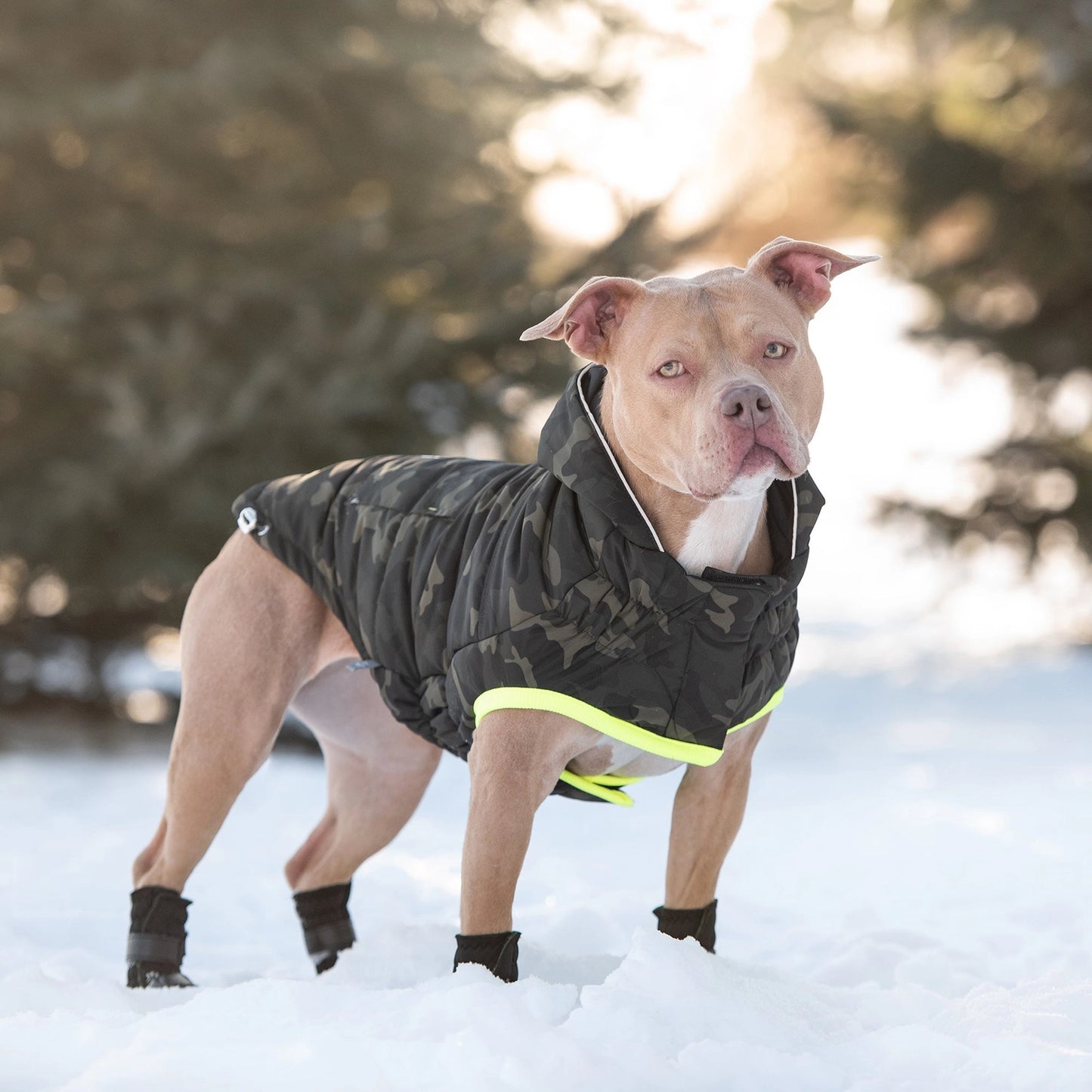 GF Pet Recycled Parka - Camouflage Eco Friendly Pet Coat Woofy and Whiskers