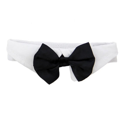 White Collar with Black Bow Tie Dog Dog Apparel bow tie doggie design XS Black