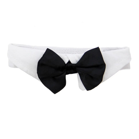 White Collar with Black Bow Tie Dog Dog Apparel bow tie doggie design XS Black