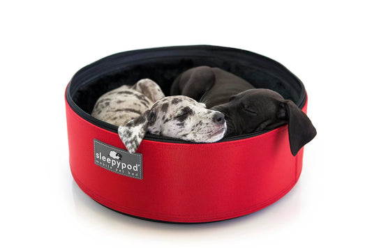 Sleepypod Mobile Pet Bed