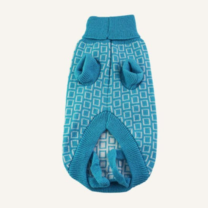Dan & Sam – Dog Jumper with Leg Straps – Grooving Dog Sweater Dan & Sam