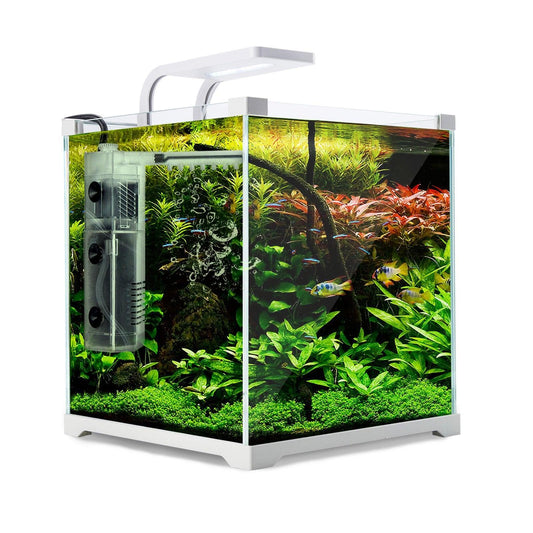 Dynamic Power Aquarium Fish Tank 16L Starfire GlassWoofy and Whiskers