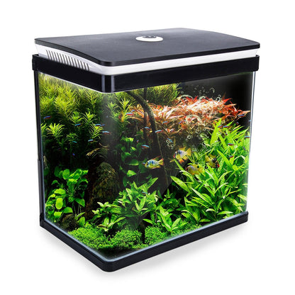 Dynamic Power Aquarium Fish Tank 30L Curved Glass RGB LED Pet Care > Aquarium Dynamic Power