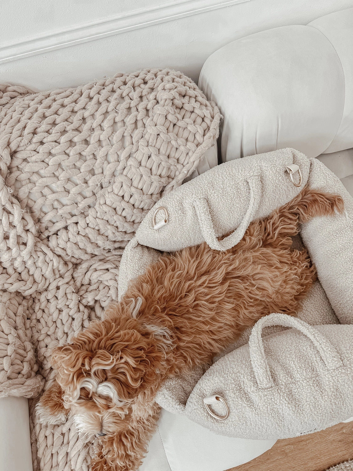 The Cosy Pet Car Seat Dog Car Seat By Teddy