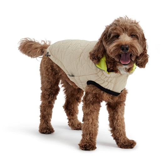 GF Pet Elasto - Fit Reversible Chalet Dog Jacket in Sand/LimeWoofy and Whiskers