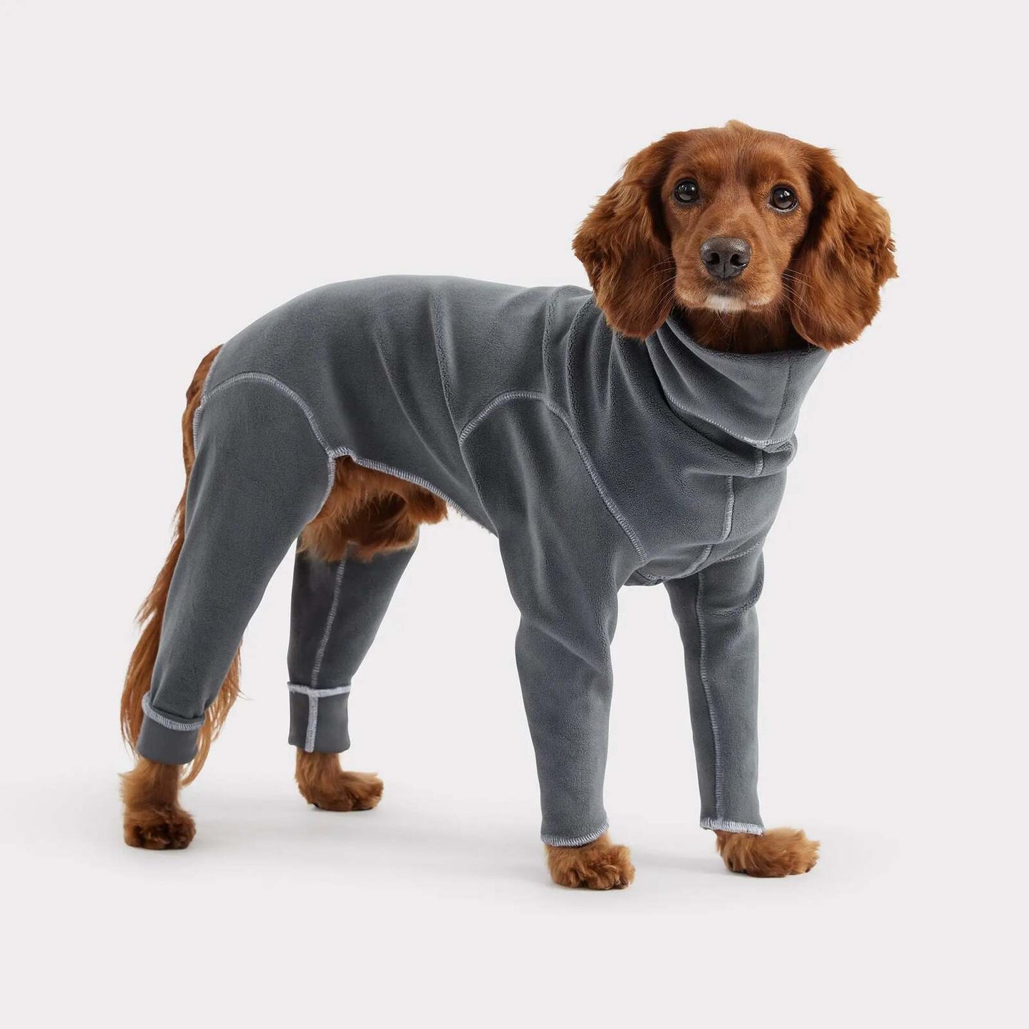 GF Pet Gondola Dog Onesie in CharcoalWoofy and Whiskers