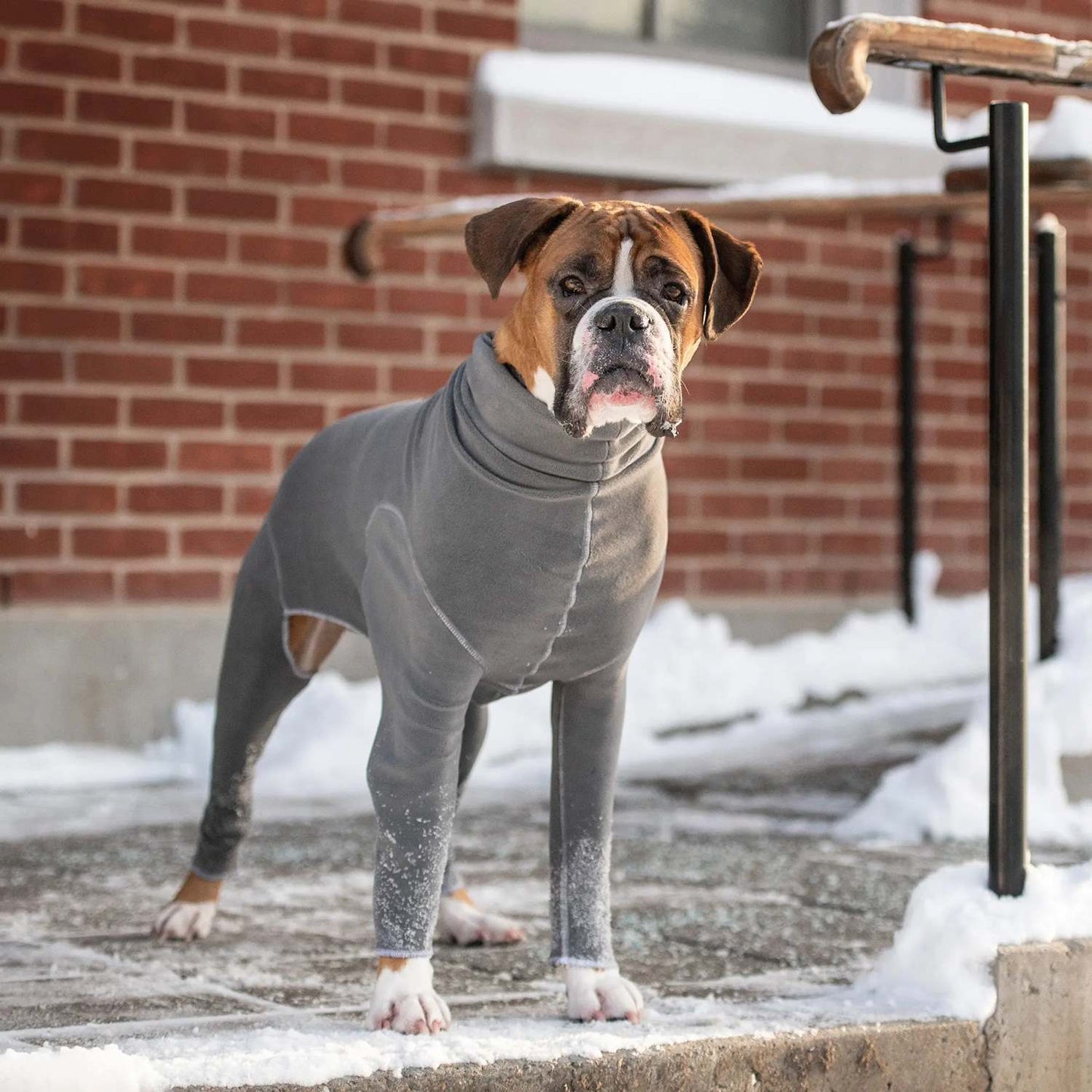 GF Pet Gondola Dog Onesie in CharcoalWoofy and Whiskers