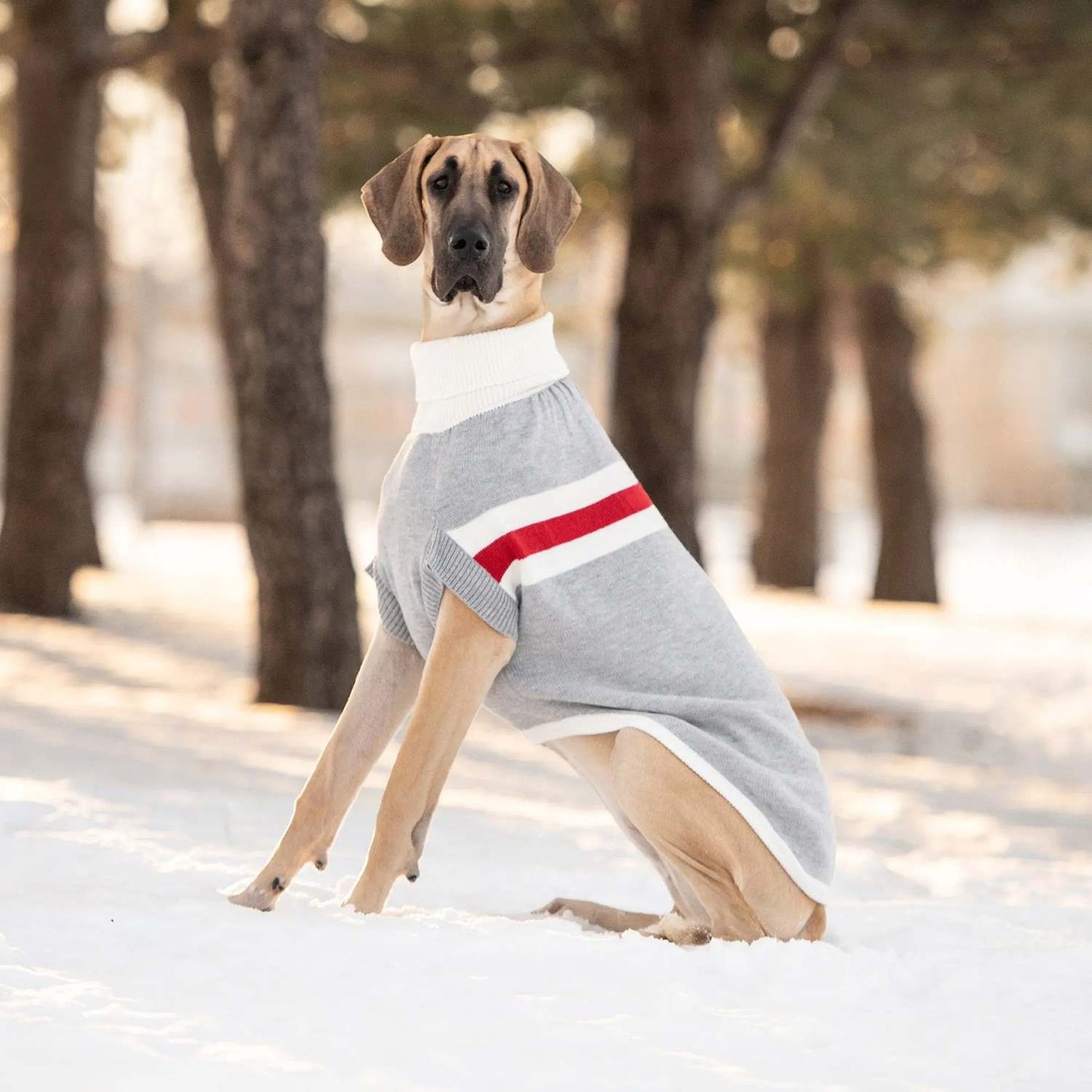 GF Pet Trekking Dog Sweater in Grey Mix - XSdog suppliesDogsWoofy and Whiskers