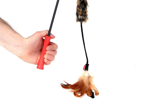 GiGwi Feather Teaser Wand - Natural Cat Toys Woofy and Whiskers