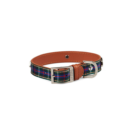 Highland blue Tartan Dog Collar MediumWoofy and Whiskers