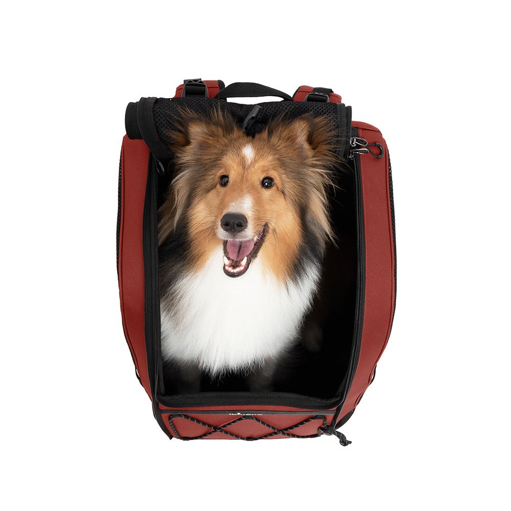 Ibiyaya Champion 3 - in - 1 Carrier, Backpack & Car Seat for Dogs up to 12kg2 in 1 Dog Backpack & Car Seatdog suppliesWoofy and Whiskers