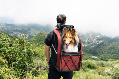 Ibiyaya Champion 3-in-1 Carrier, Backpack & Car Seat for Dogs up to 12kg Pet Carrier Ibiyaya