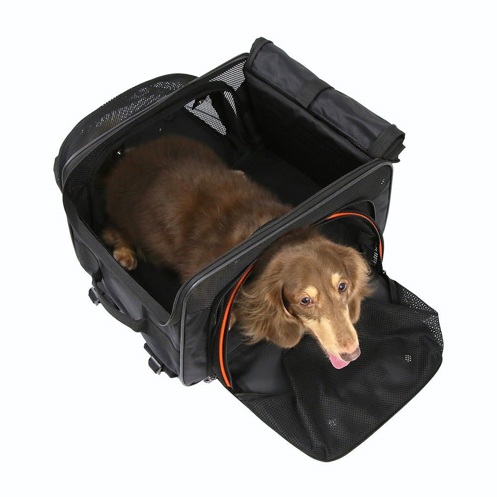 Ibiyaya JetPaw: Expandable Pet Carrier & Backpack - Obsidian/OrangeAirline Approved Pet CarrierFront Pet Carrier BackpackWoofy and Whiskers