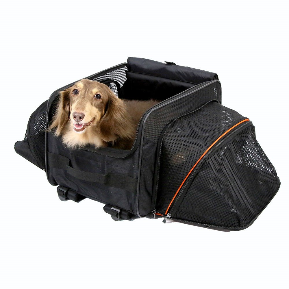 Ibiyaya JetPaw: Expandable Pet Carrier & Backpack - Obsidian/OrangeAirline Approved Pet CarrierFront Pet Carrier BackpackWoofy and Whiskers