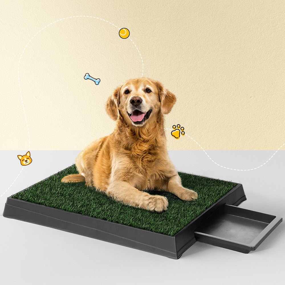 i.Pet Pet Training Pad Dog Potty Toilet Large Loo Portable With Tray Grass Mat Pet Care > Dog Supplies Woofy and Whiskers