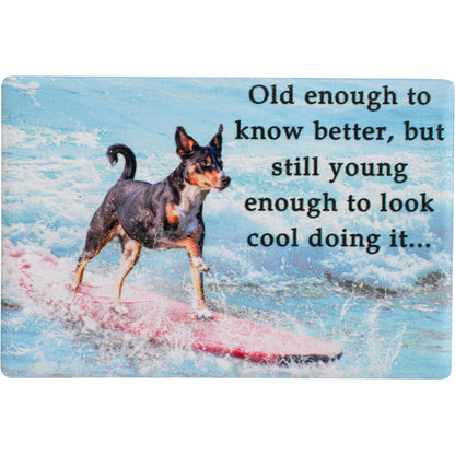 Magnet Old Enough Refridgerator Magnet Lavida