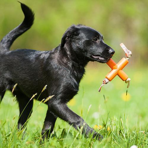 Major Dog Fetch X Toy for Small Dogs Pet Care > Toys Major Dog