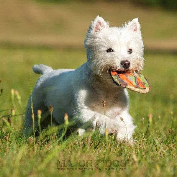 Major Dog Frisbee Medium - Fetch Toy Pet Care > Toys Major Dog