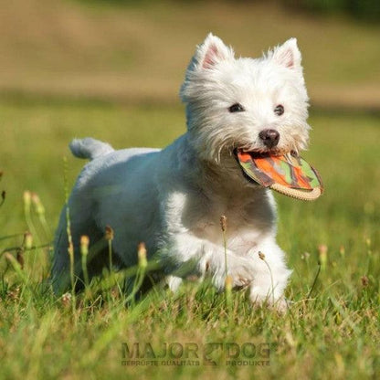 Major Dog Mini Frisbee - Fetch Toy Pet Care > Toys Major Dog
