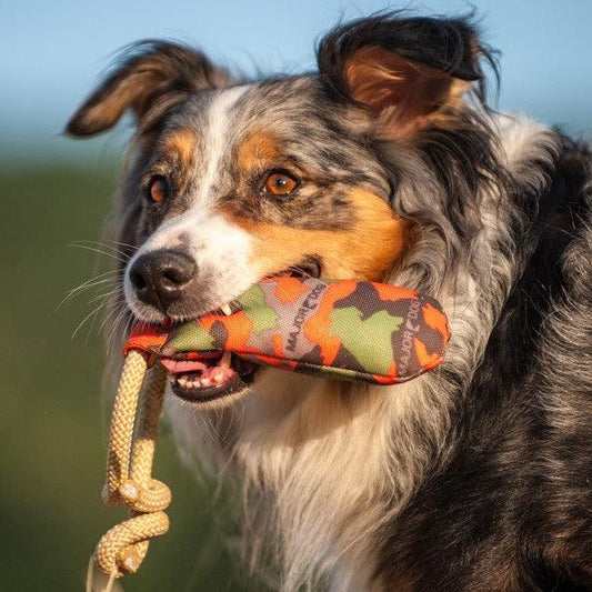 Major Dog Rascal Dummy - Fetch Toy Pet Care > Toys Major Dog