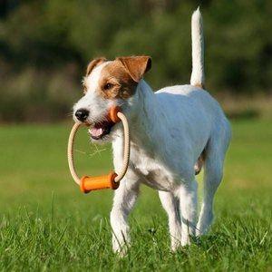 Major Dog Scuffle Dummy Small - Tug Toy Pet Care > Toys Major Dog Large