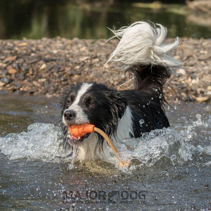 Major Dog Swimming Eddy Floating Fetch Toy Pet Care > Toys Major Dog