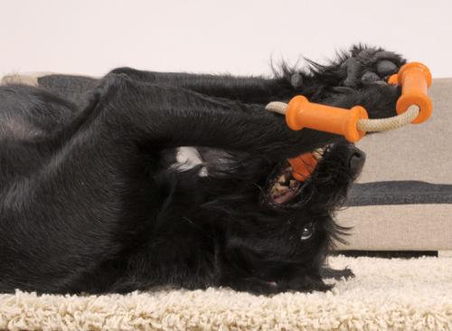 Major Dog Tussle Dummy - Large - Tug Toy Pet Care > Toys Major Dog