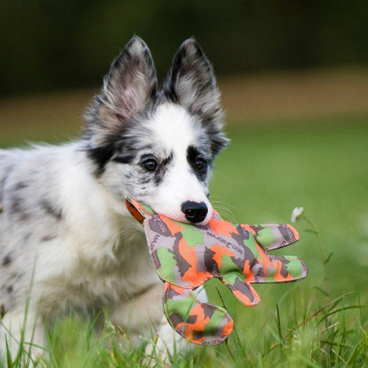 Major Dog Waldi Mini - Floating Toy Pet Care > Toys Major Dog