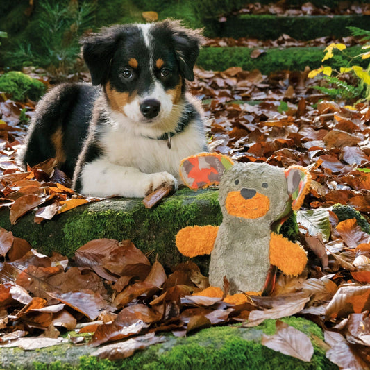 Major Dog Waldi Plush Dog Toy Pet Care > Toys Major Dog