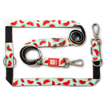 Max and Molly Dog Lead - Large Size - Various Designs - Woofy and Whiskers-Polyester-Quick drying neoprene- Heavy Duty Lobster claw metal clip- Pet Care > Dog Supplies Max & Molly Urban Pets