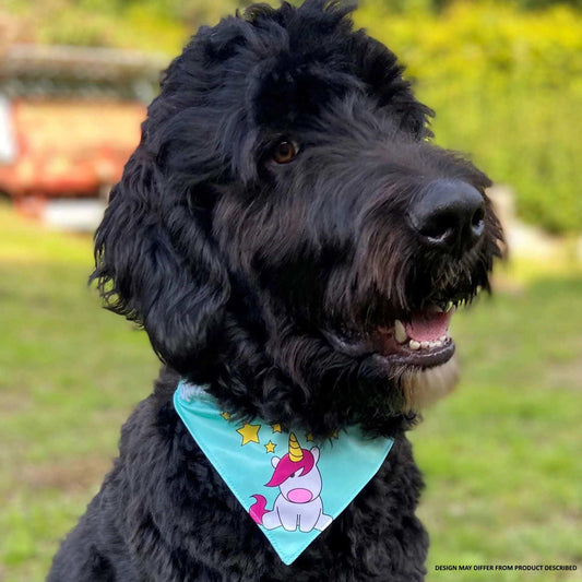 Max & Molly Bandanas for Cats & Dogs - Small Max & Molly Urban Pets