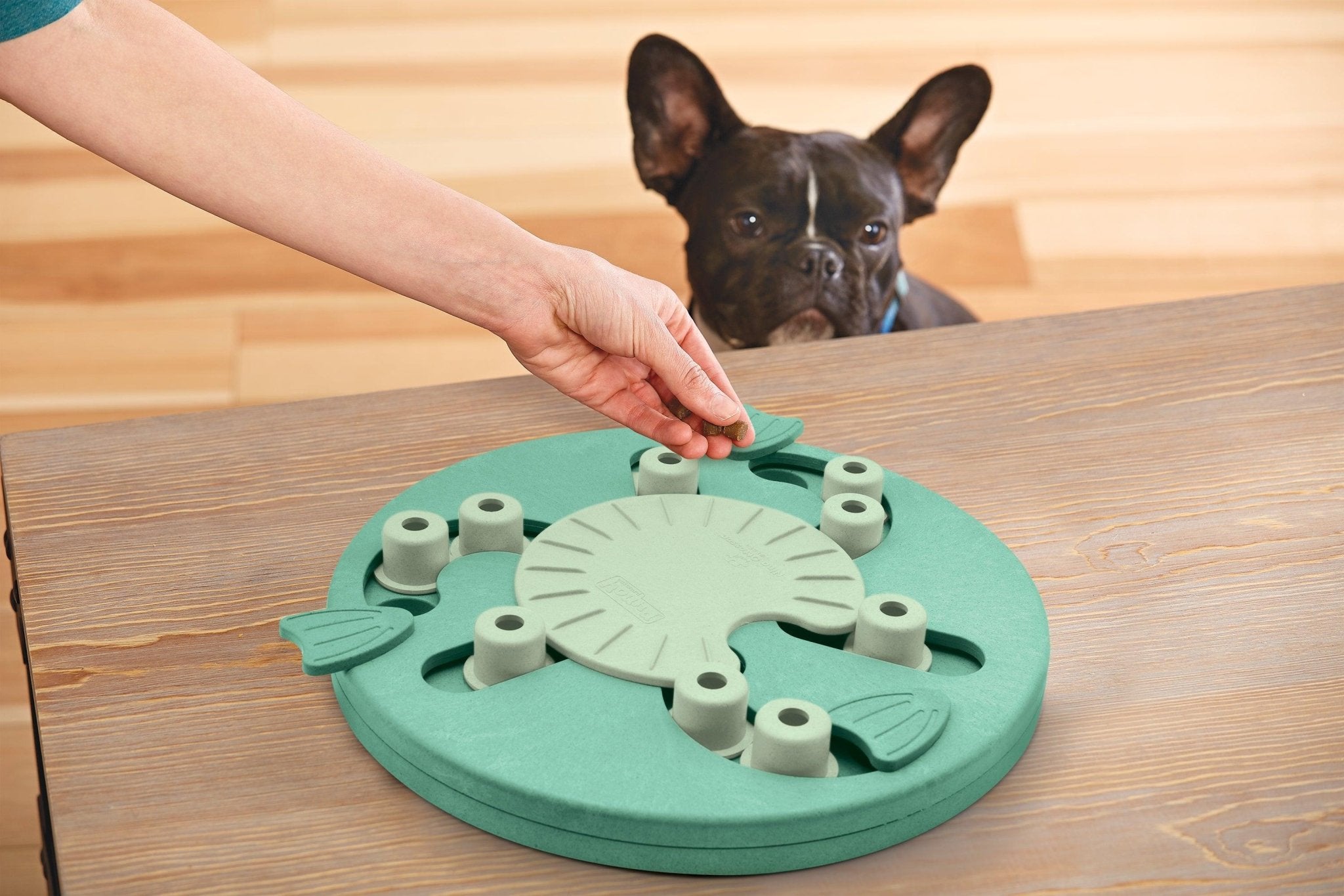 Nina Ottosson Dog Worker Treat Dispensing Interactive Dog Game Level 3dog suppliesDogsWoofy and Whiskers