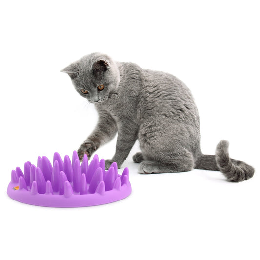 Northmate Catch Interactive Slow Food Cat Bowl interactive slow feeder for Cats northmate