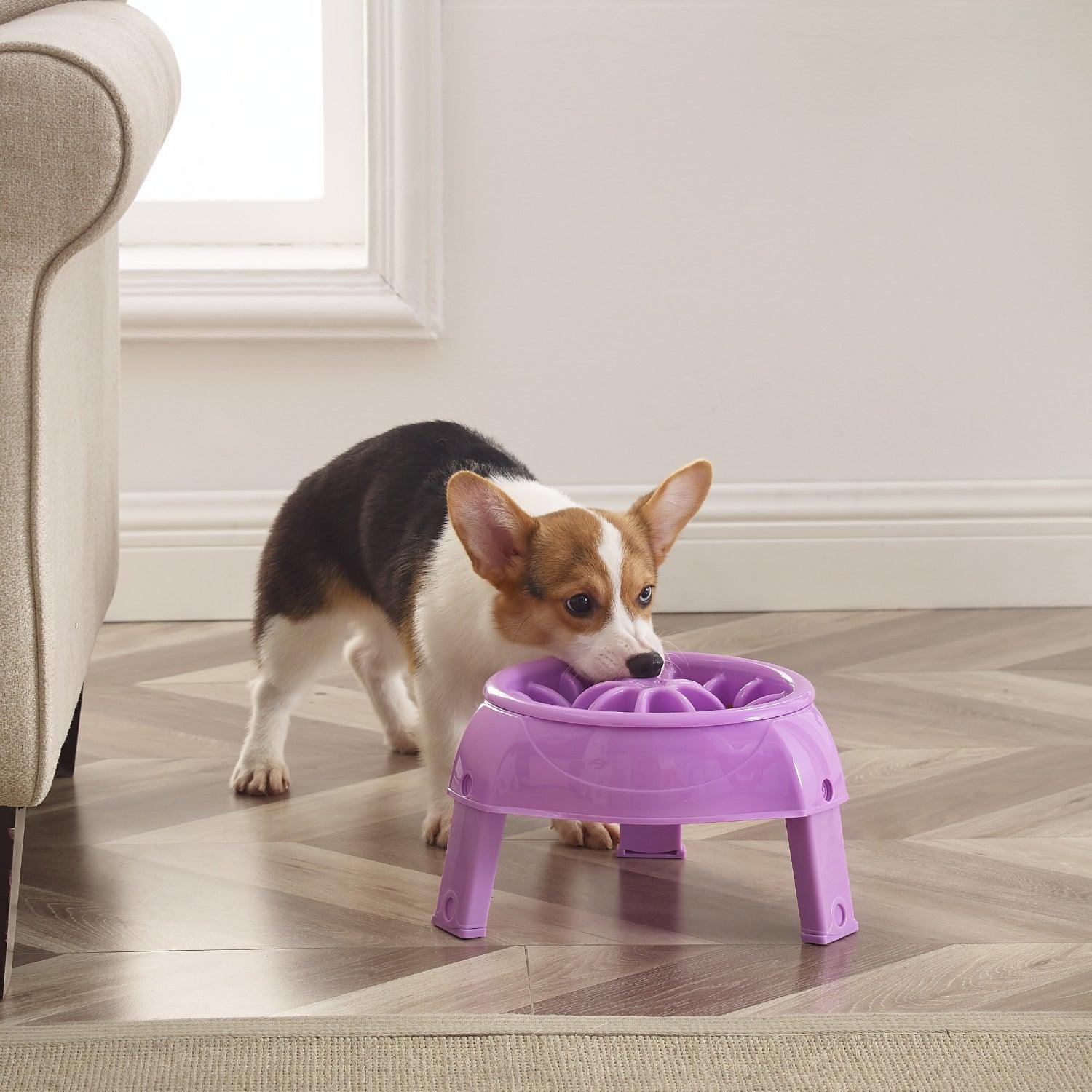 Outward Hound 3-1 up Height Adjustable Dog Bowl- - Woofy and Whiskers Slow Food Bowl Outward Hound