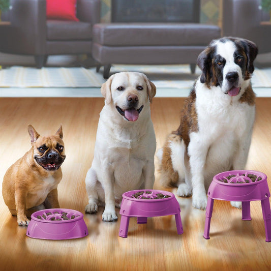 Outward Hound 3-1 up Height Adjustable Dog Bowl- - Woofy and Whiskers Slow Food Bowl Outward Hound