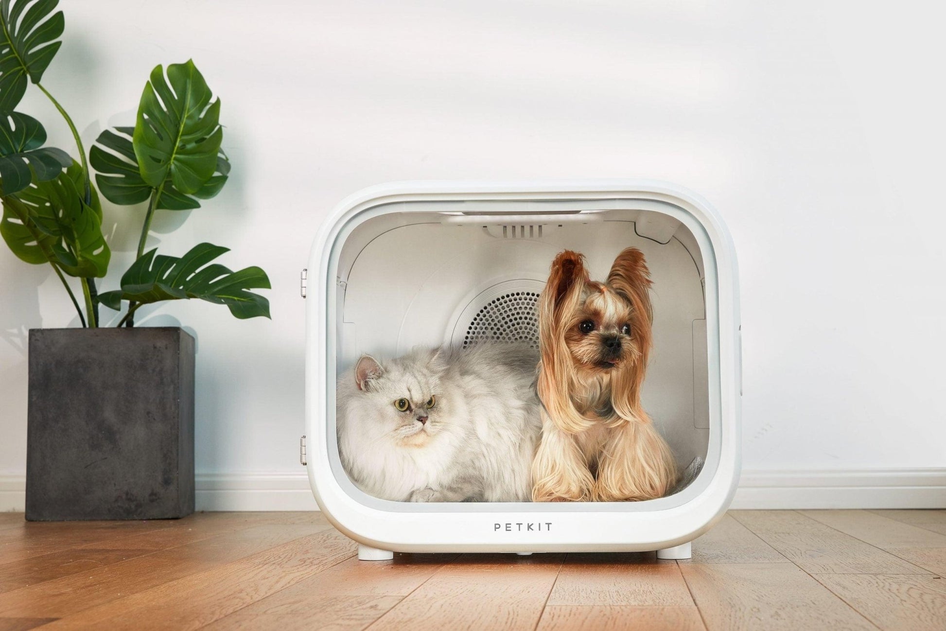 PETKIT AIRSALON Smart Pet Dryer Box Grooming products Petkit