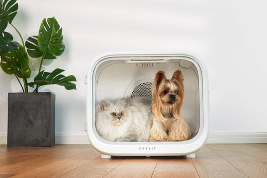 PETKIT AIRSALON Smart Pet Dryer Box Grooming products Petkit