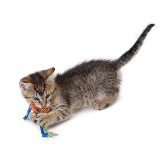 Petstages Dental Health Chews Cat Toys with Catnip Cat Toys Petstages