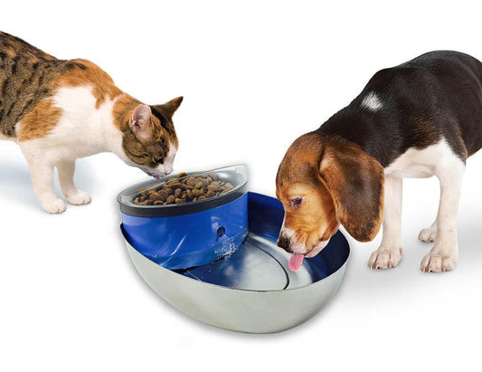 Pioneer Pet Stainless Steel and Plastic Water Food Bowl Drinking Fountain Pet Bowls, Feeders & Waterers Pioneer Pets