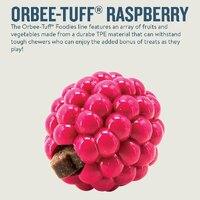 Planet Dog Orbee-Tuff Treat Dispensing Dog Toy - Raspberry-Small Dogs