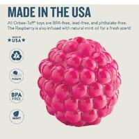 Planet Dog Orbee-Tuff Treat Dispensing Dog Toy - Raspberry-Small Dogs Dog toys Planet Dog