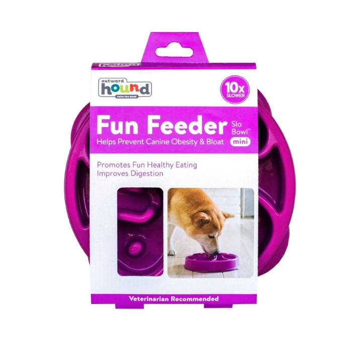 Outward hound video fun feeder slow bowl