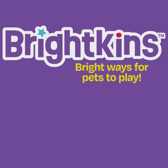 Brightkins party! treat puzzle video