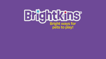 Brightkins Surprise Party! Dog Treat & Food Interactive Puzzle Toy Interactive dog puzzle Hunger for words