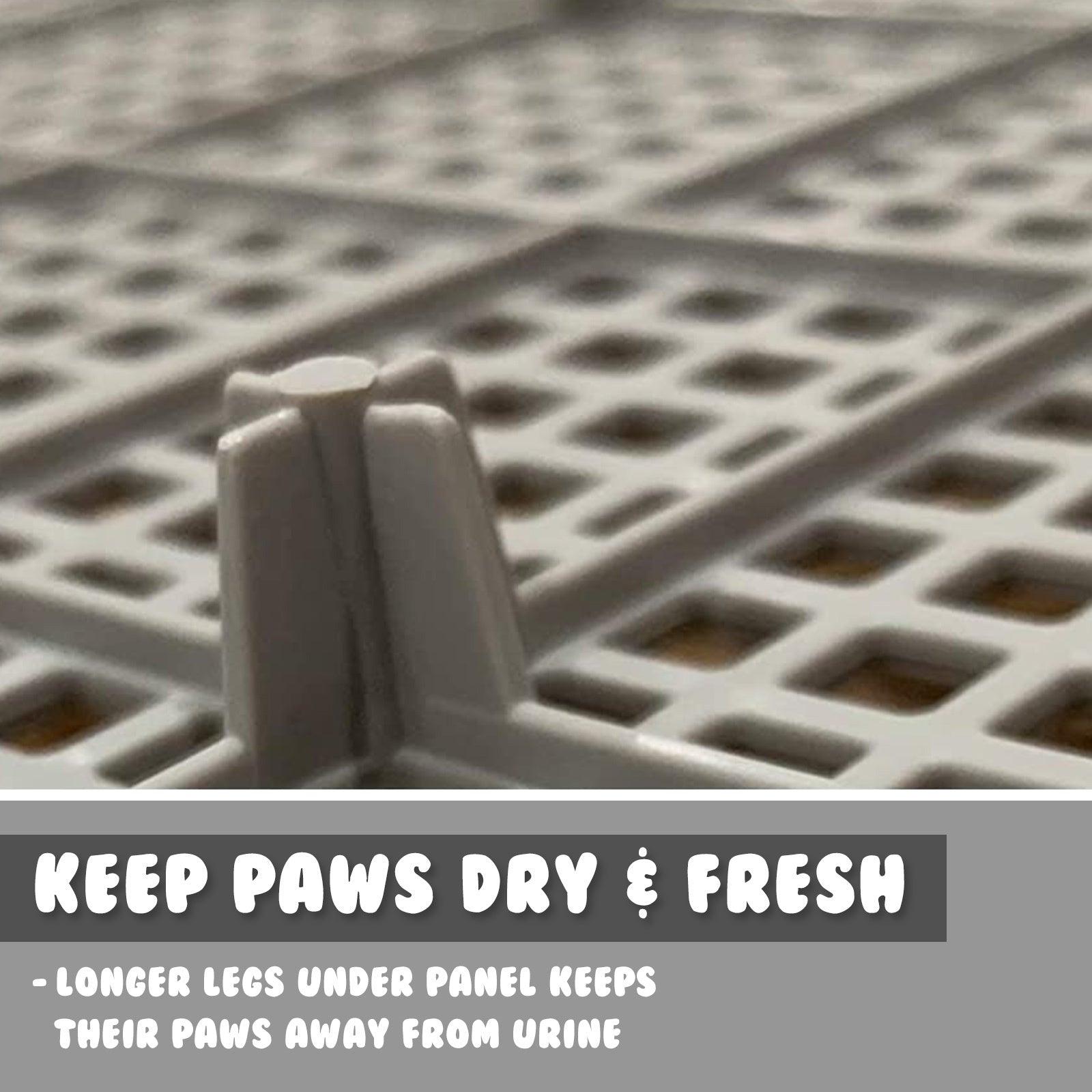 PS KOREA Grey Dog Pet Potty Tray Training Toilet Raised Walls T1 Pet Supplies PS KOREA