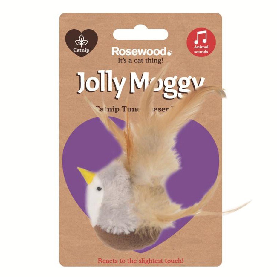 Rosewood Catnip Tune Chaser Bird Motion ActivatedPremium Catnip ToyWoofy and Whiskers