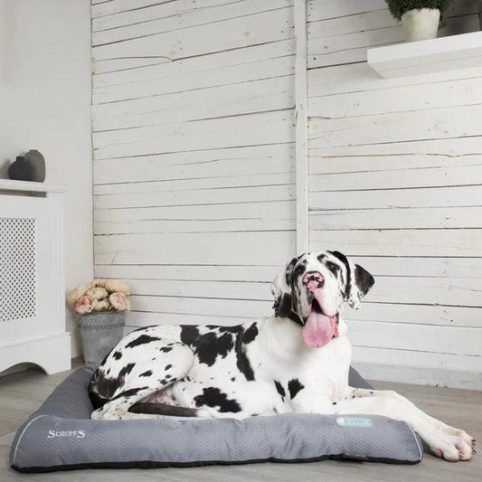 Scruffs – Cooling Bed Scruffs 100CM
