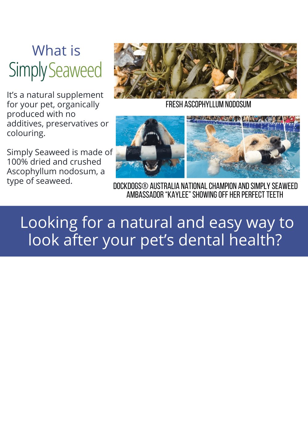 Simply Seaweed Natural Dental Health Care for Cats & Dogs - 1.5kg Pet Care > Cleaning & Maintenance Simply Seaweed