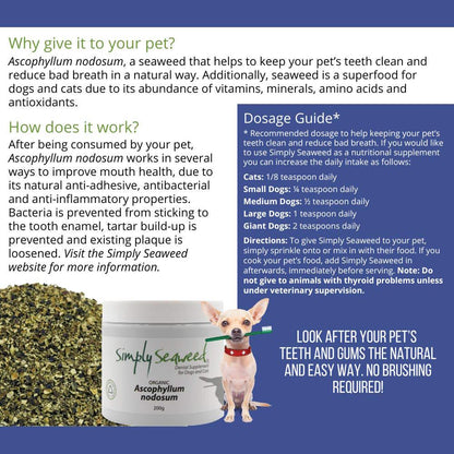 Simply Seaweed Natural Dental Health Care for Cats & Dogs - 1.5kg Pet Care > Cleaning & Maintenance Simply Seaweed